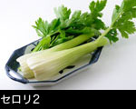 セロリ2 