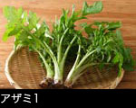 アザミ1