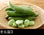 そら豆3