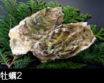 牡蠣2