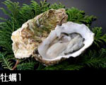 牡蠣1