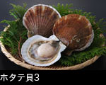 ホタテ貝3 