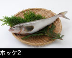 ホッケ2