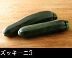 ズッキーニ3  