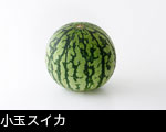 小玉スイカ