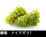 葡萄　ナイアガラ1