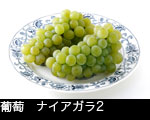 葡萄　ナイアガラ2