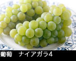 葡萄　ナイアガラ4