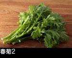春菊2 