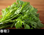 春菊3 