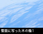 雪面に写った木の陰1