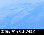 雪面に写った木の陰2