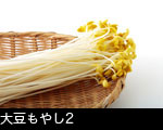 大豆もやし2