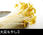 大豆もやし3