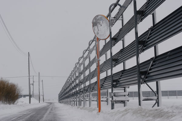 地吹雪・防雪柵 画像 無料写真素材 フリー写真素材「花ざかりの森」