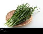 ニラ1