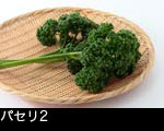 パセリ2