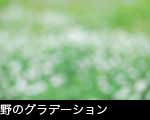 野のグラデーション