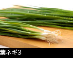 　葉ネギ3