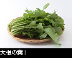 大根の葉1