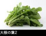 大根の葉2 