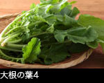 大根の葉4 