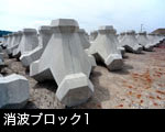 消波ブロック1