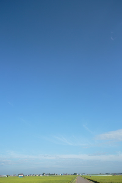 朝の青空 縦 無料画像 フリー写真素材