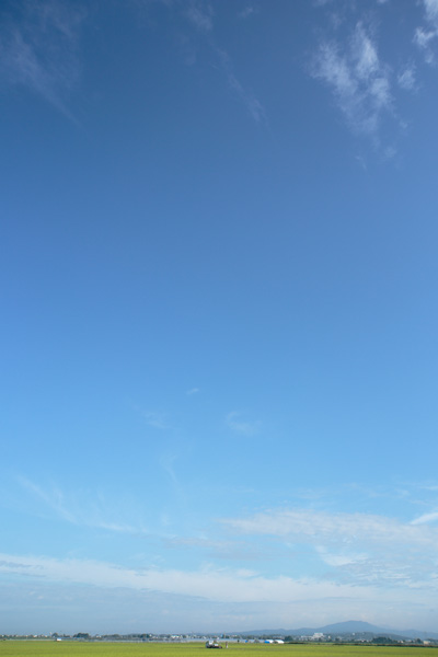 朝の青空 縦 無料画像 フリー写真素材