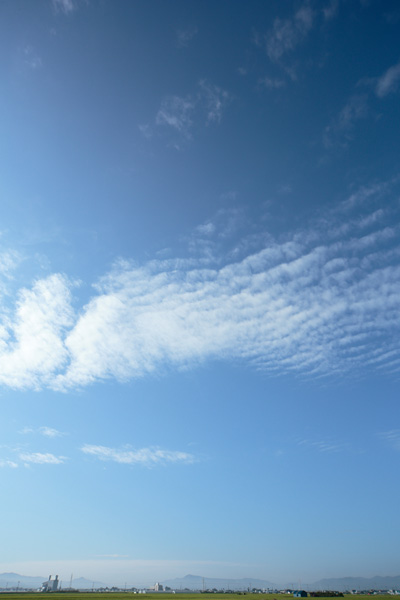 朝の青空 縦 無料画像 フリー写真素材