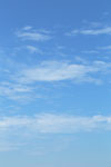 青空・雲 3981