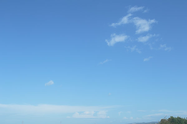 青空と雲 画像 合成用写真素材 4102 無料写真素材「花ざかりの森」