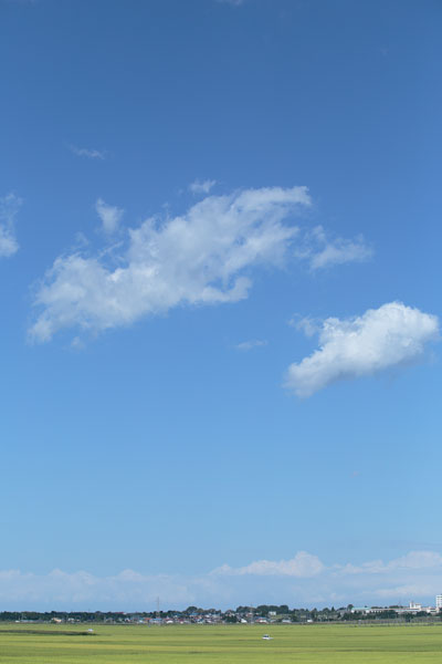   青空と雲 縦 画像 フリー写真素材