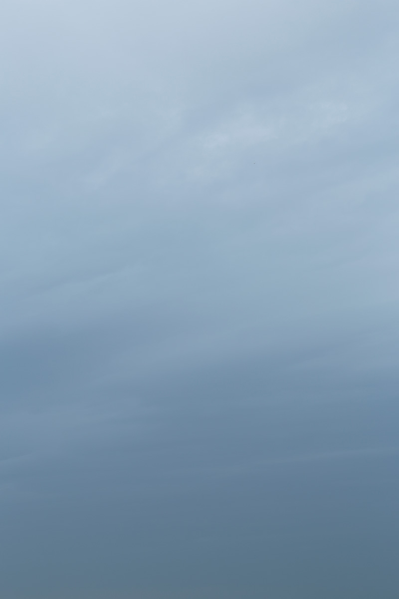 i76l-4253　曇り空の表情　「花ざかりの森」