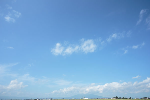 青空と雲 画像 合成素材 4740 無料写真素材 「花ざかりの森」　