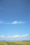青空・雲 4731