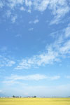 青空・雲 4795