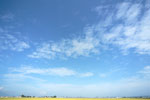 青空・雲 4800