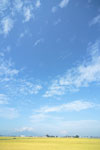 青空・雲 4809