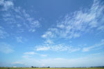 青空・雲 4824
