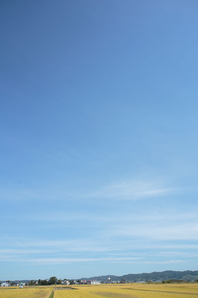 青空と雲 縦 無料画像 無料写真素材