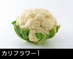 カリフラワー 画像1