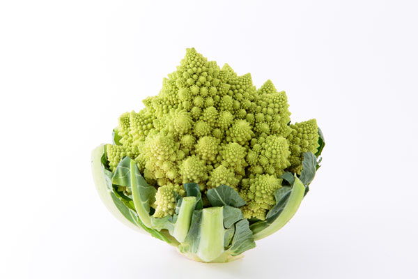ロマネスコ 野菜の画像2枚。ロマネコスを一株白い背景に置いて撮影。正面から1カット、斜めに置いたバリエーション1カット。