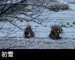 初雪の風景