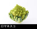 ロマネスコ野菜1