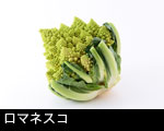 ロマネスコ 野菜2