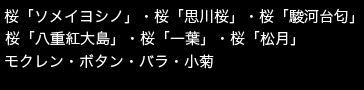 掲載画像　桜「ソメイヨシノ」・桜「思川桜」・桜「駿河台匂」・桜「八重紅大島」・桜「一葉」・桜「松月」・モクレン・ボタン・バラ・小菊 