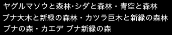 掲載画像　ヤグルマソウと森林、シダと森林、青空と森林、ブナ大木と新緑の森林、カツラ巨木と新緑の森林、ブナの森、カエデとブナの新緑の森林 
