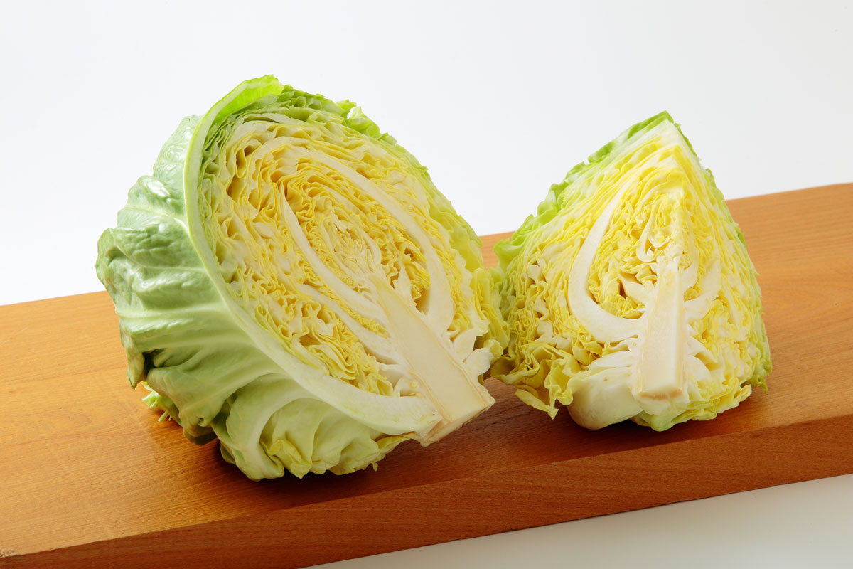 j81l-5693　新キャベツ（春キャベツ）