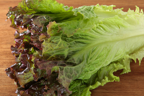 サニーレタス一株を荒い木目の天板に置いて撮影した画像。角版、野菜のイメージ画像。4枚中1枚